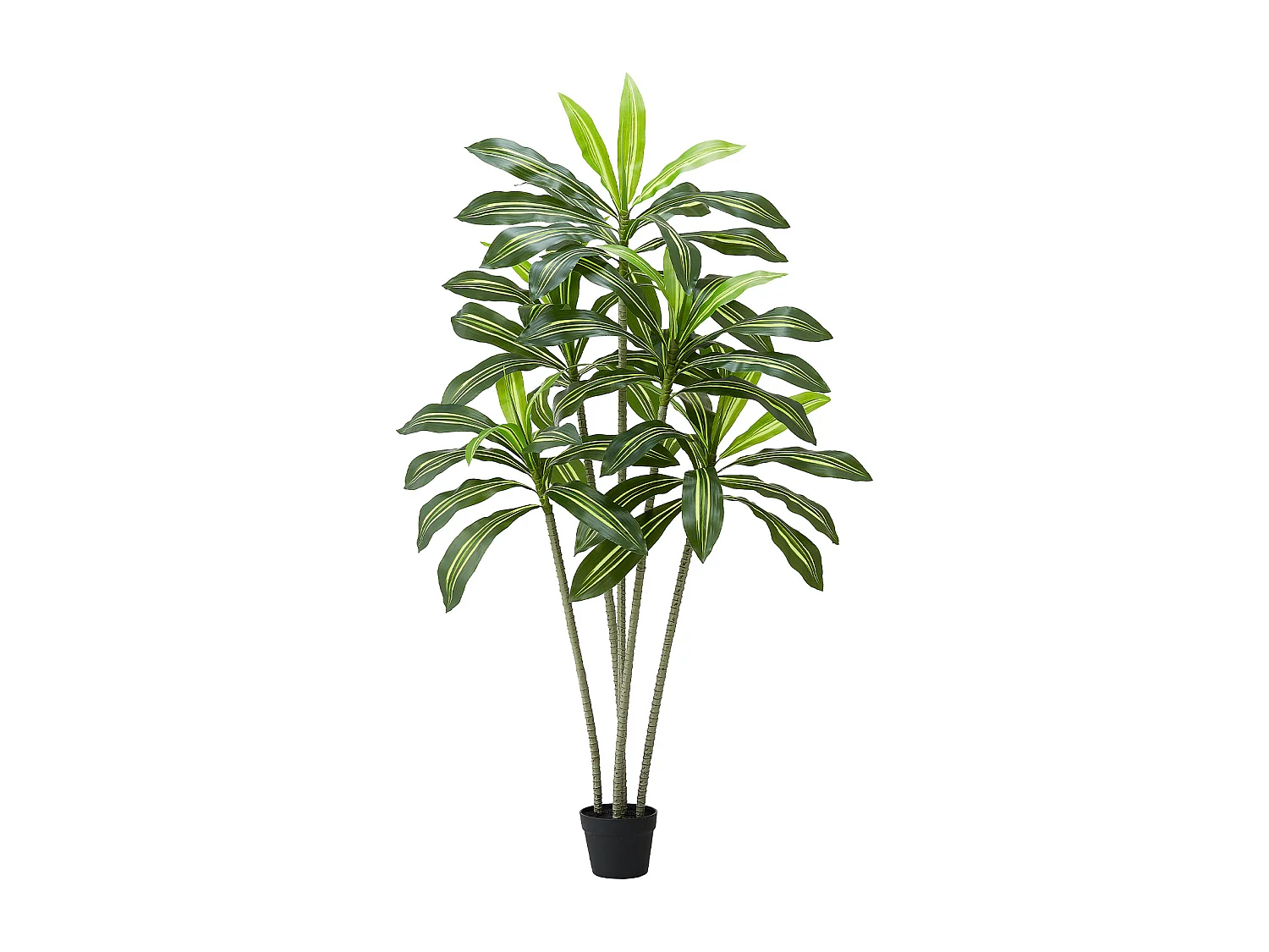 Dracaena Artificiel SucceBuy, 1,8 m, Plante Artificielle Tropicale en Pot Blanc, Faux Arbre Tropical, Fausse Plante Feuilles Polyéthylène pour Salon