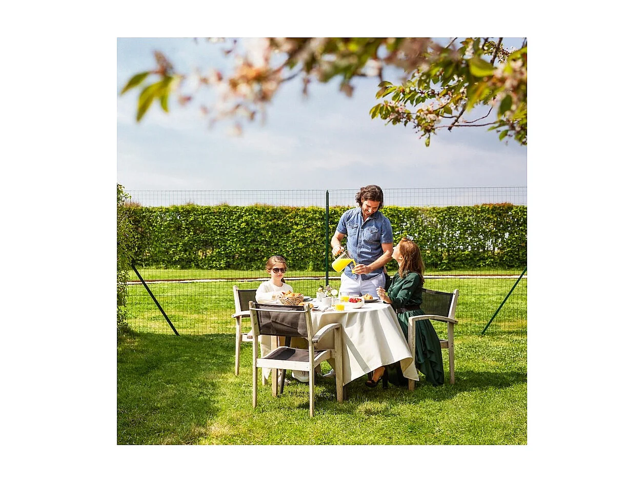 Gaas - Gaashekwerk - Maaswijdte 100x50 mm - Rol 25x2m - Groen