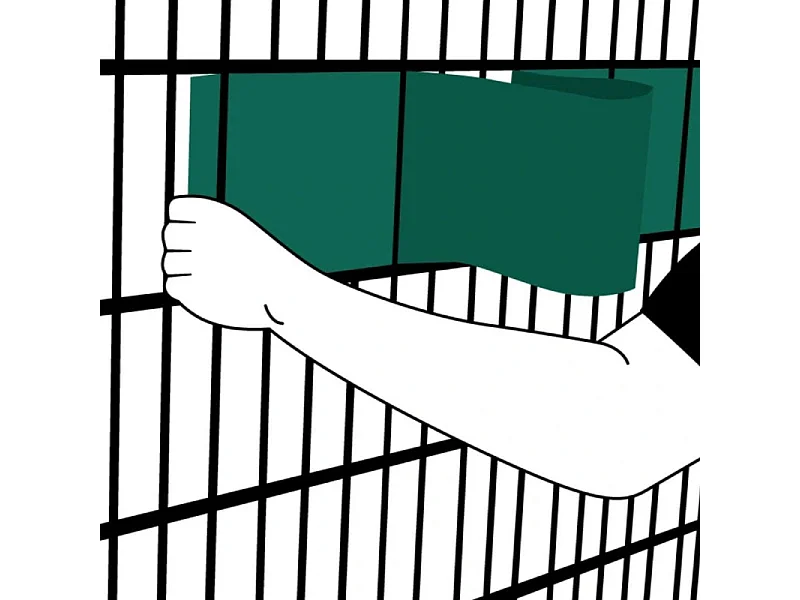 Kit Lamelles PVC Bande Brise vue pour panneau double fils - L 2m50 - H 1m83 - Vert