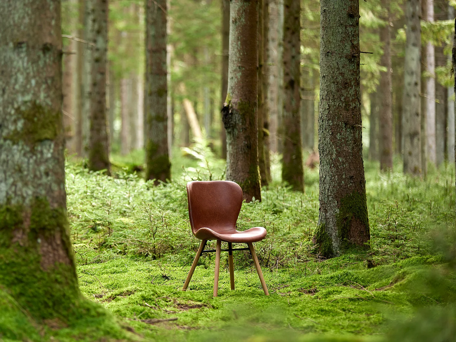 2x Krzesło Bergen dębowe tapicerowane