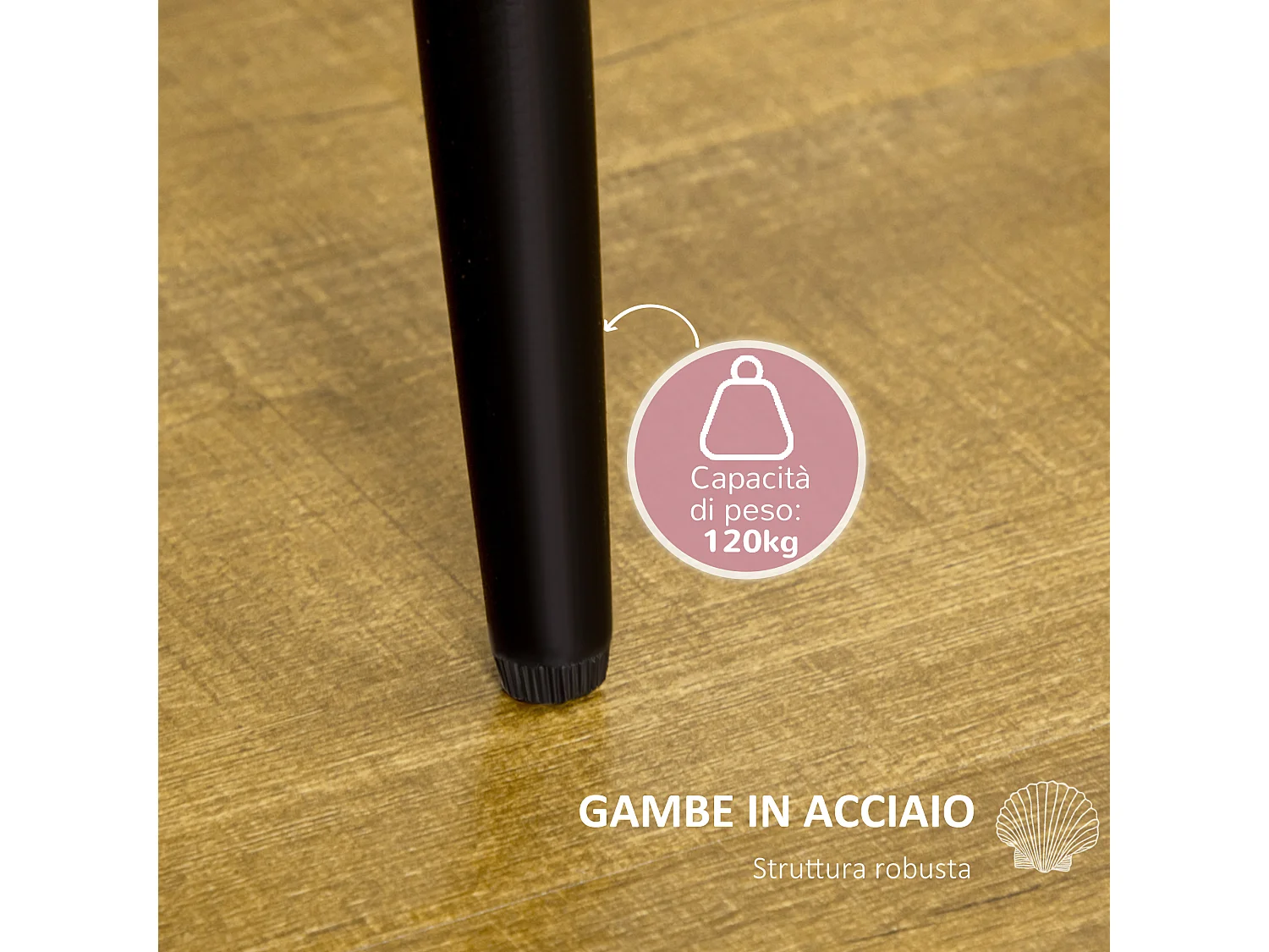 Set di 2 sedie sala da pranzo sedie cucina moderne con schienale a conchiglia