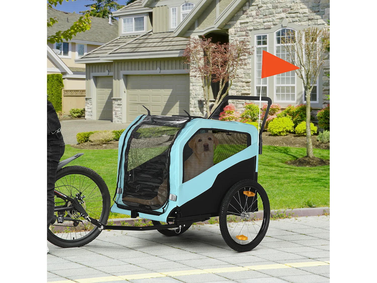 Rimorchio bici per cani 2 in 1 con 2 ingressi tasche portaoggetti blu