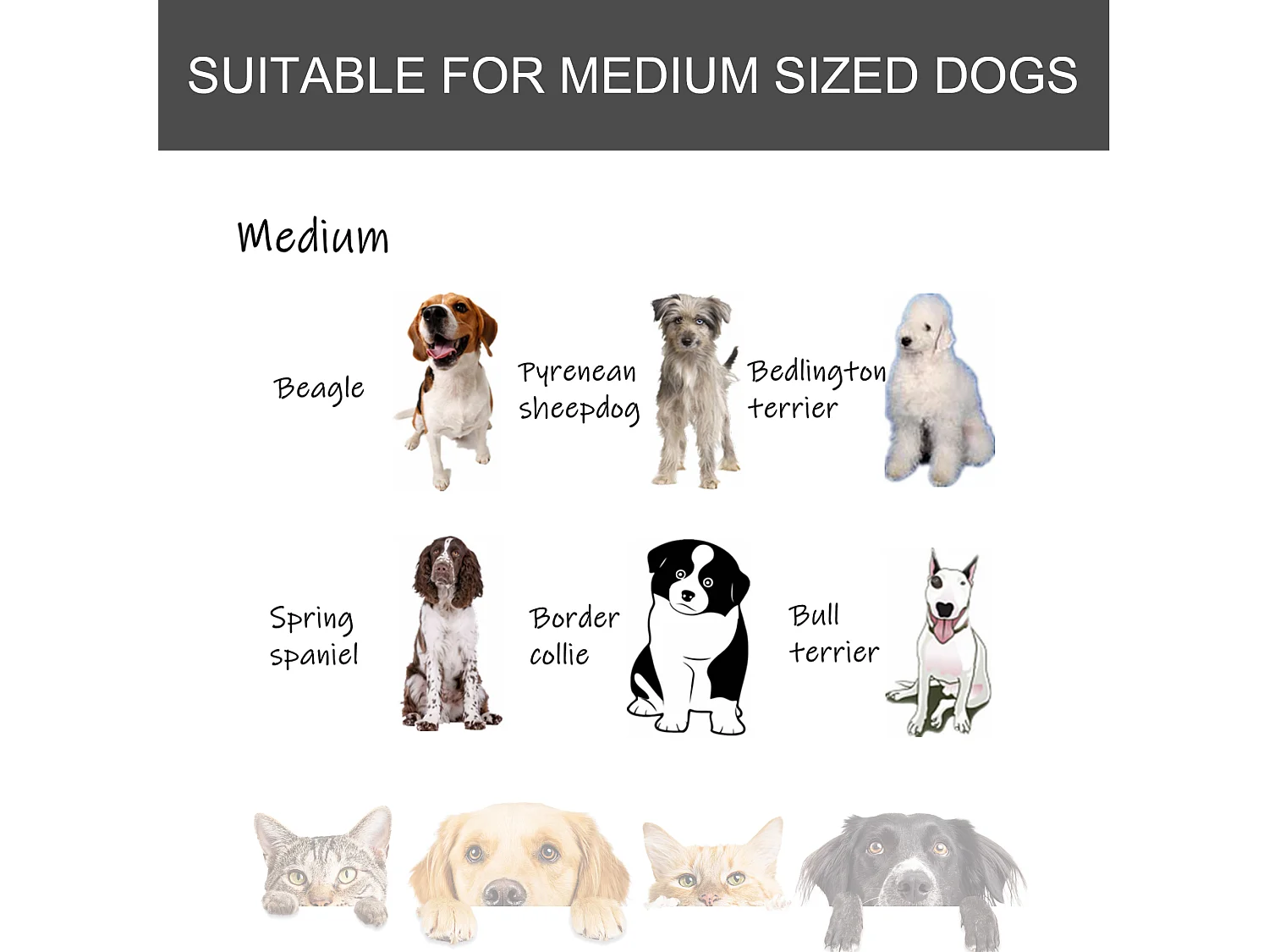 Kennel per cani pieghevole con porta con blocco e ruote grigio