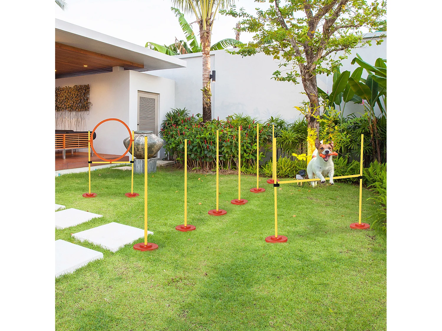 et Agility Dog 3 Esercizi: Slalom, Ostacoli