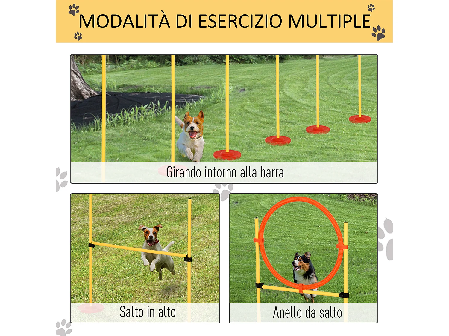 et Agility Dog 3 Esercizi: Slalom, Ostacoli