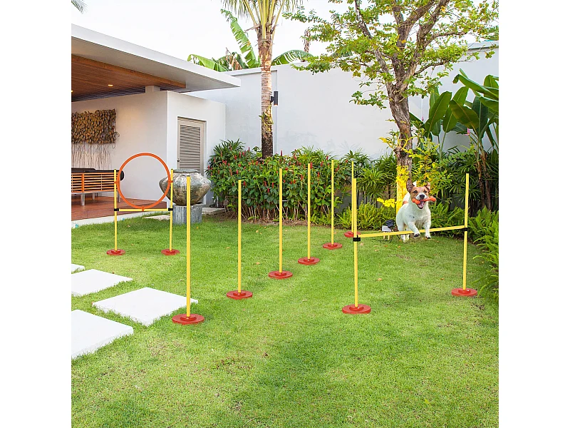 et Agility Dog 3 Esercizi: Slalom, Ostacoli