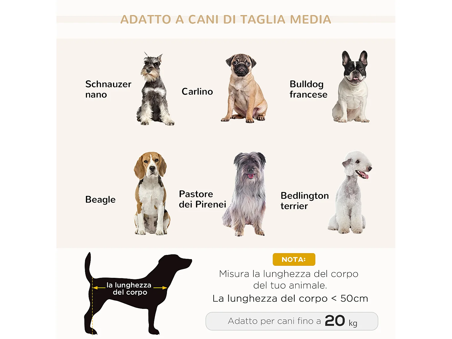 Divano per cani con Cuscino, braccioli e schienale grigio chiaro