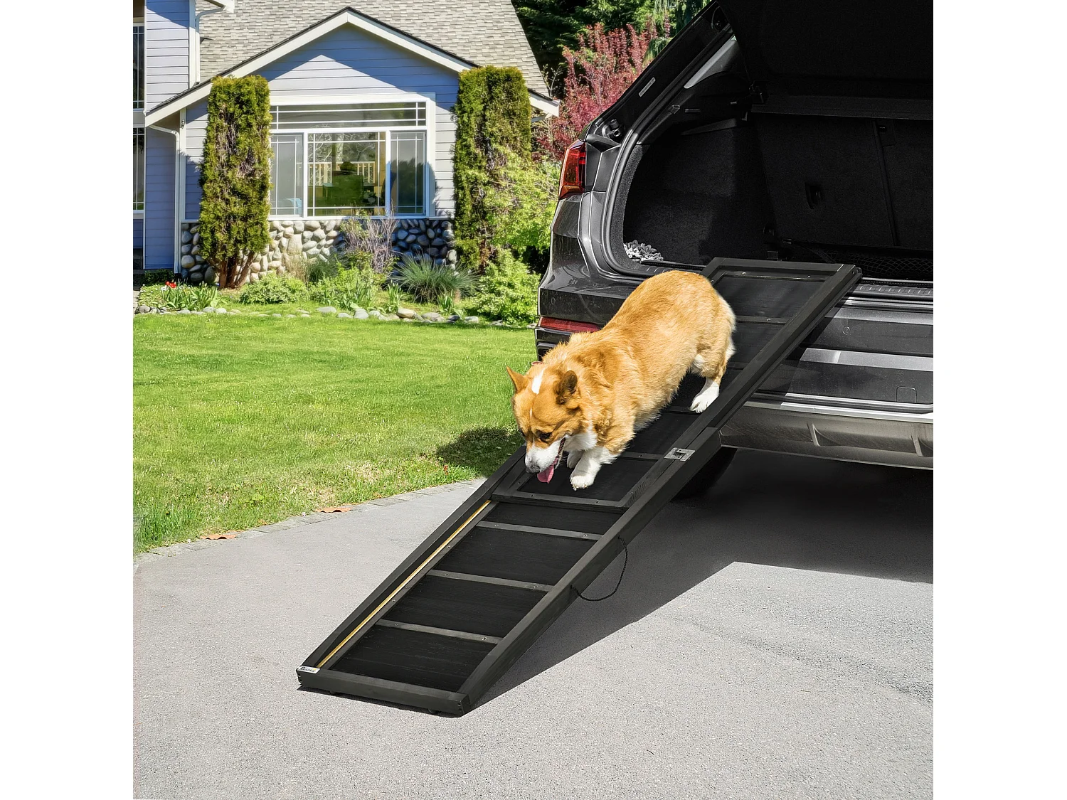 Rampa per cani pieghevole in legno antiscivolo e maniglia nera