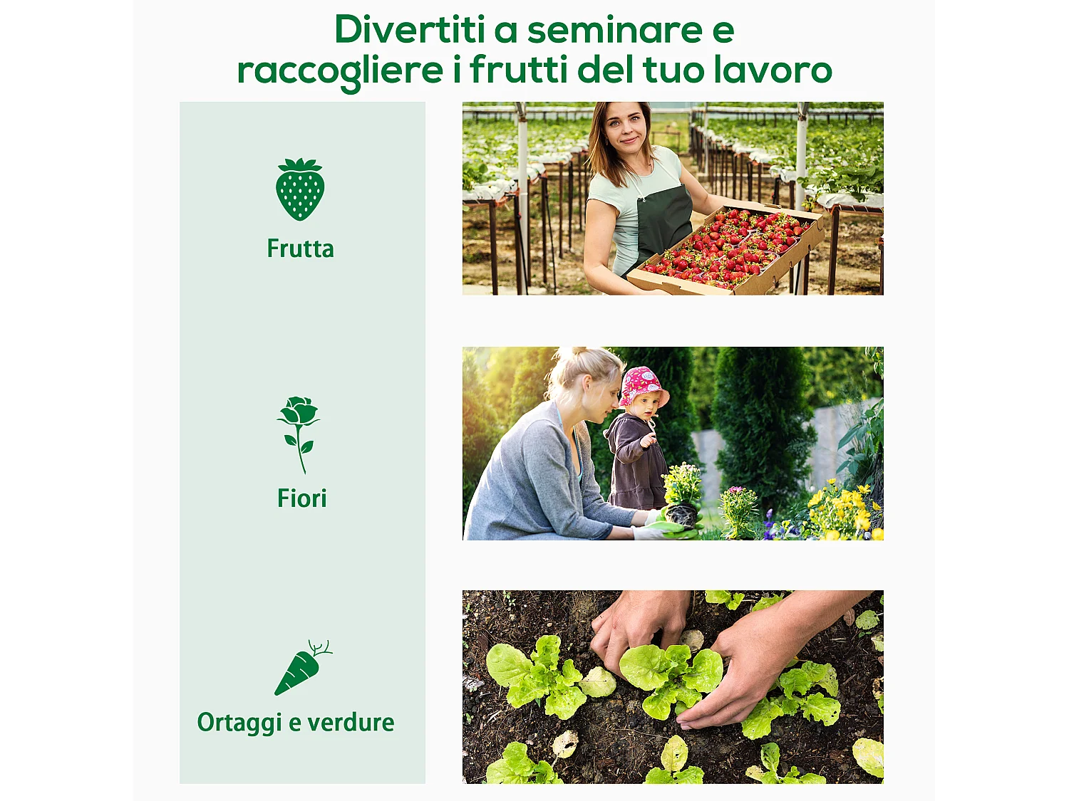 Serra da giardino con porta avvolgibile 2 finestre e bordi estesi