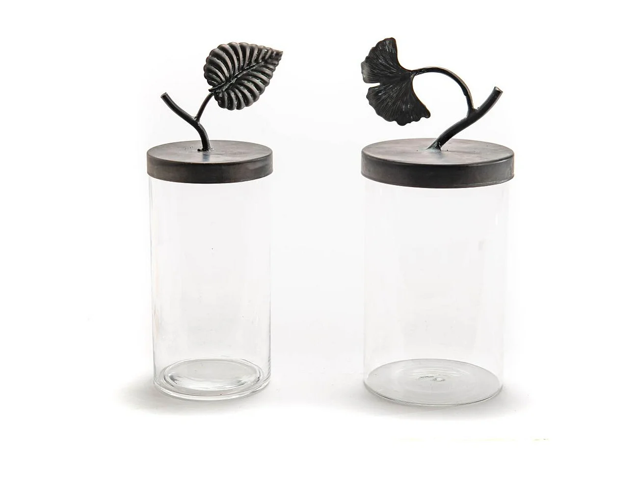 Contenant Feuille en verre