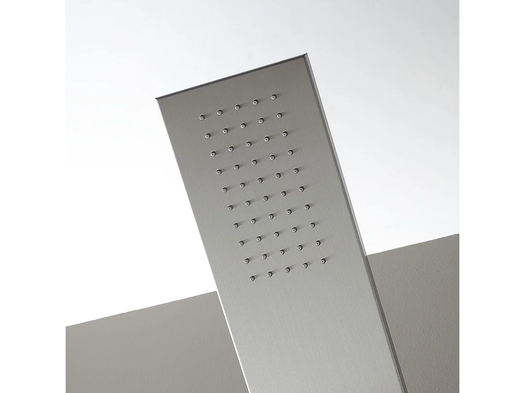 Panneau De Douche En Acier Brossé Avec Hydromassage Et Pommeau Supérieur
