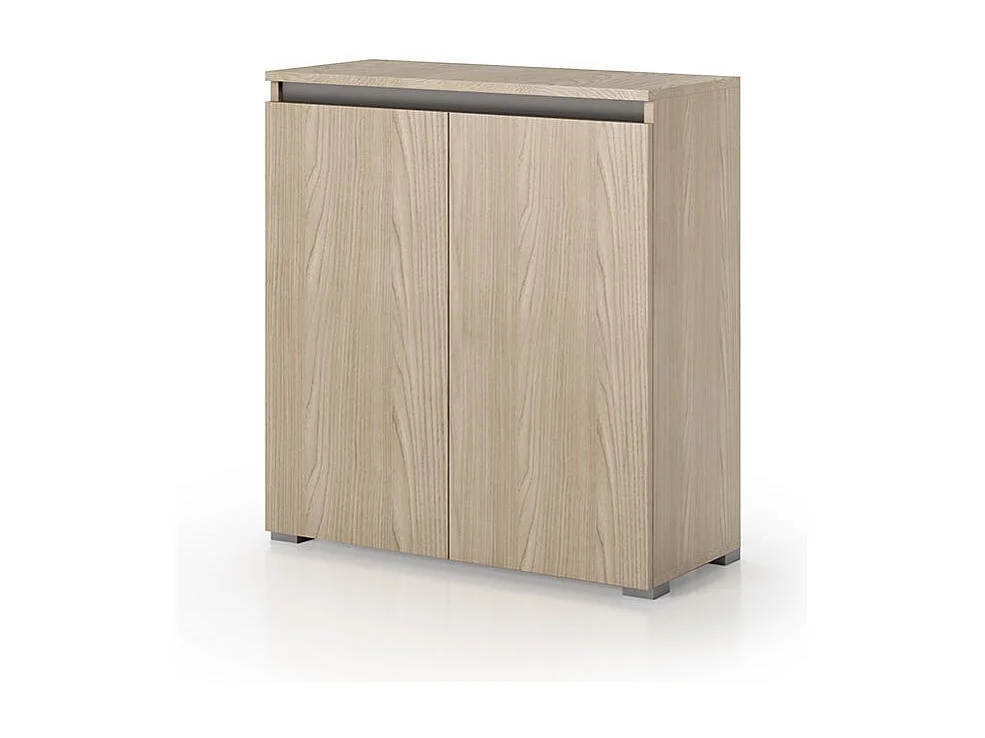 Armoire Polyvalente Effet Bois D'orme 2 Portes