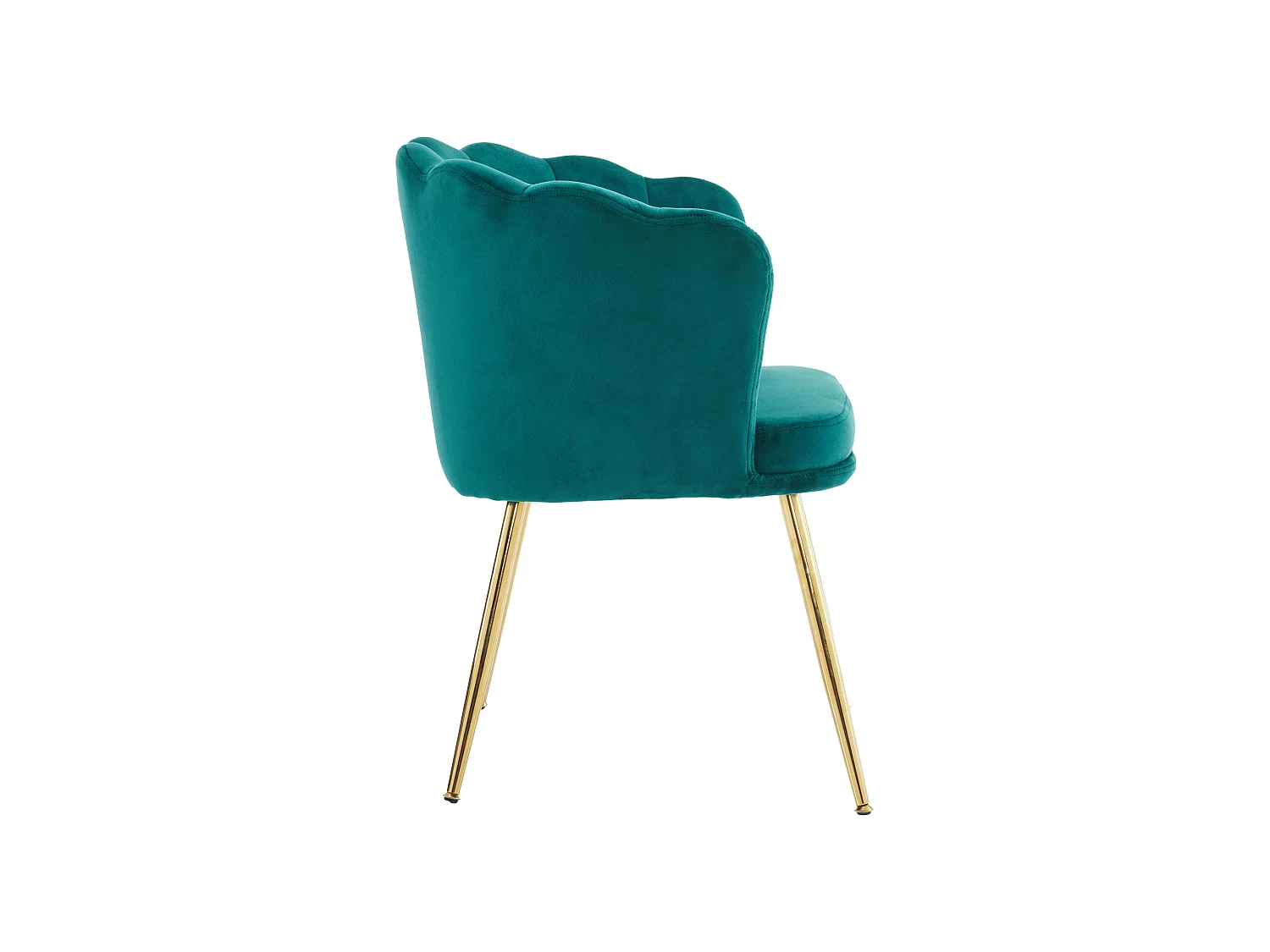 Chaise de salle à manger velours, dossier pétale capitonné, pieds métal doré – vert