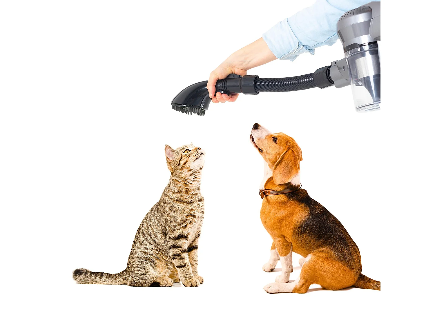 Aspirateur balai animaux SILENT Noir Aluminium 160W