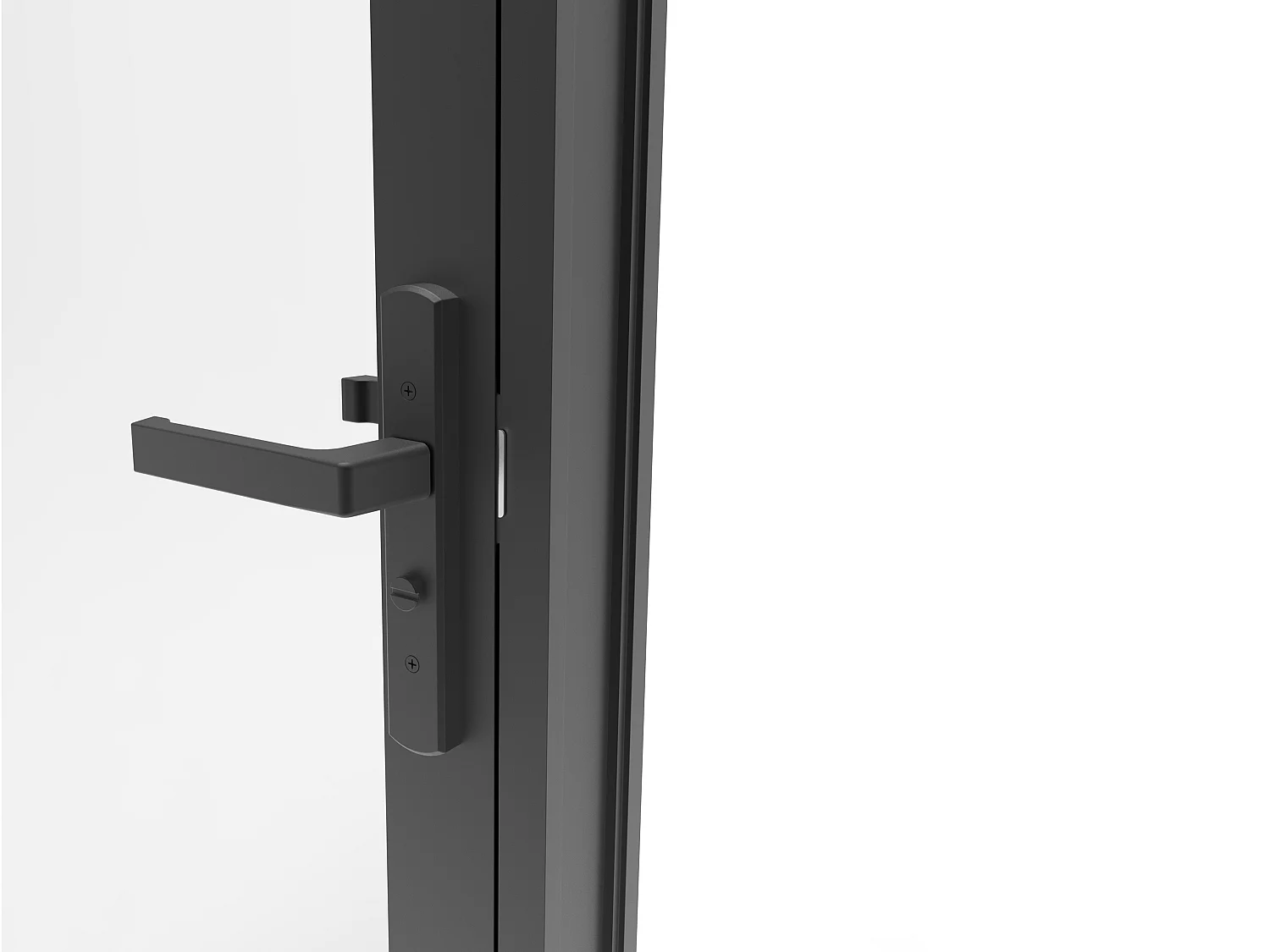 Bloc porte réversible style verrière en aluminium et verre trempé - H204 x L73 cm - Noir - CLOSIDA