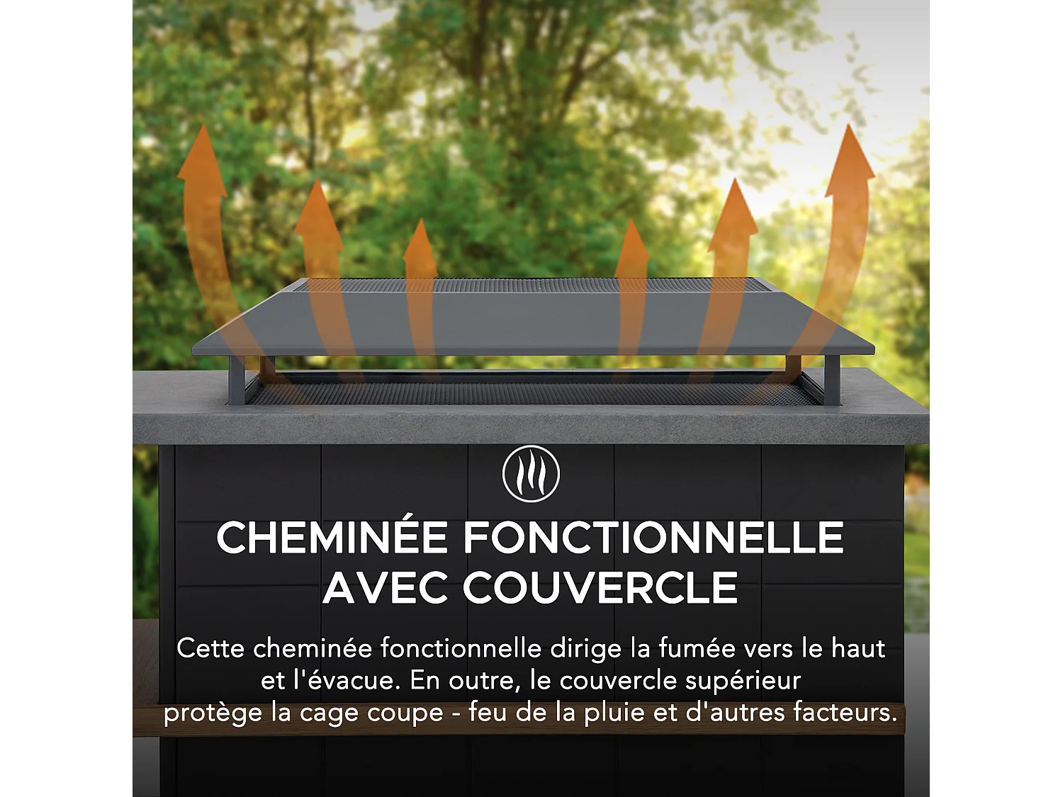 Cheminée à bois ETNA avec conduit et porte-bûches