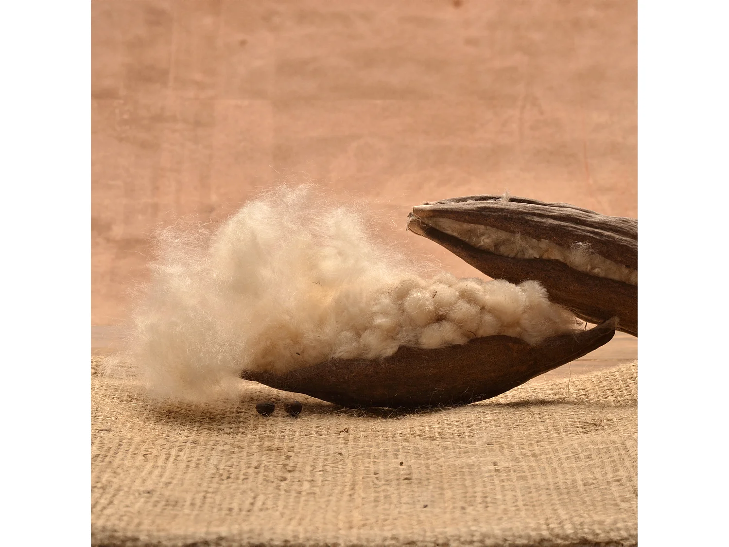 Almofada Dreamura Kapok Hikari 50x70