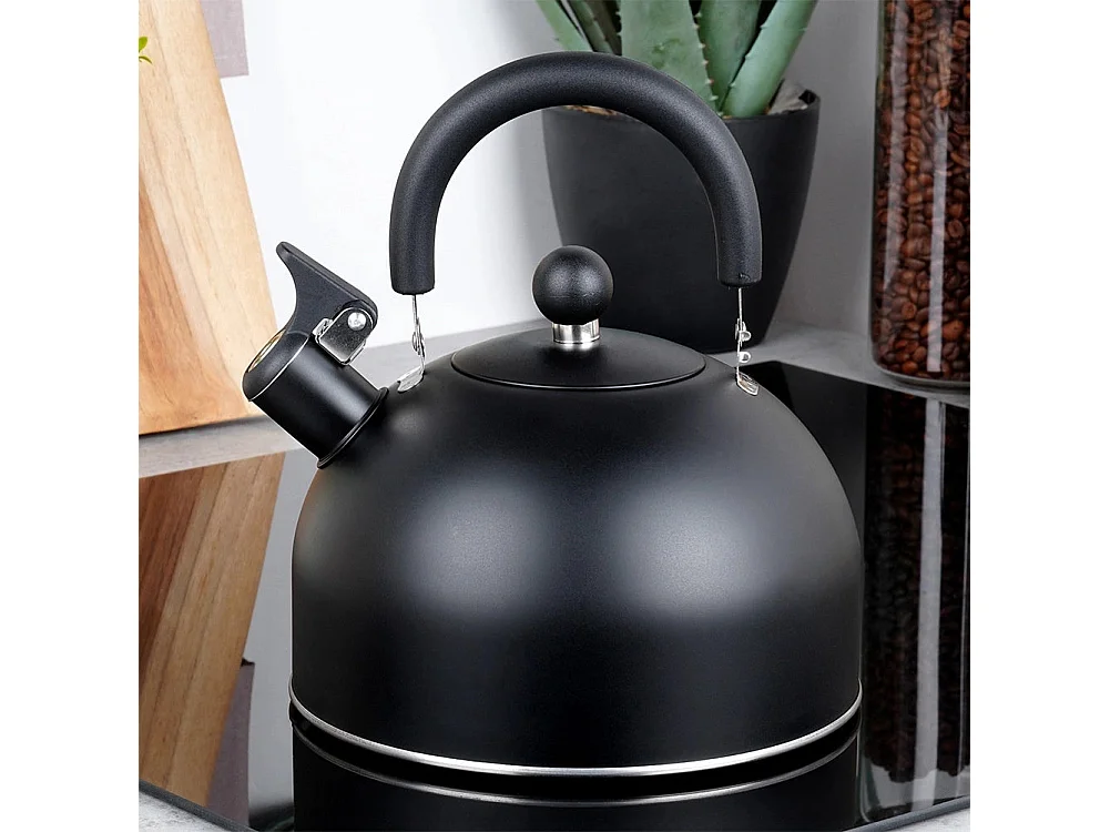 Bouilloire sifflante en acier noir 3 litres