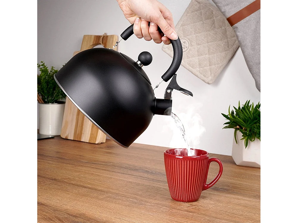 Bouilloire sifflante en acier noir 3 litres