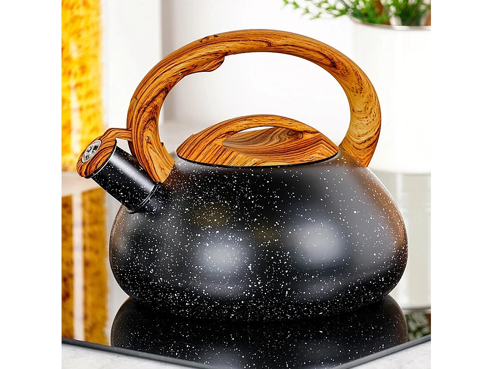 Bouilloire sifflante en acier noir  3 litres