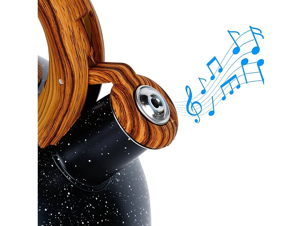 Bouilloire sifflante en acier noir  3 litres