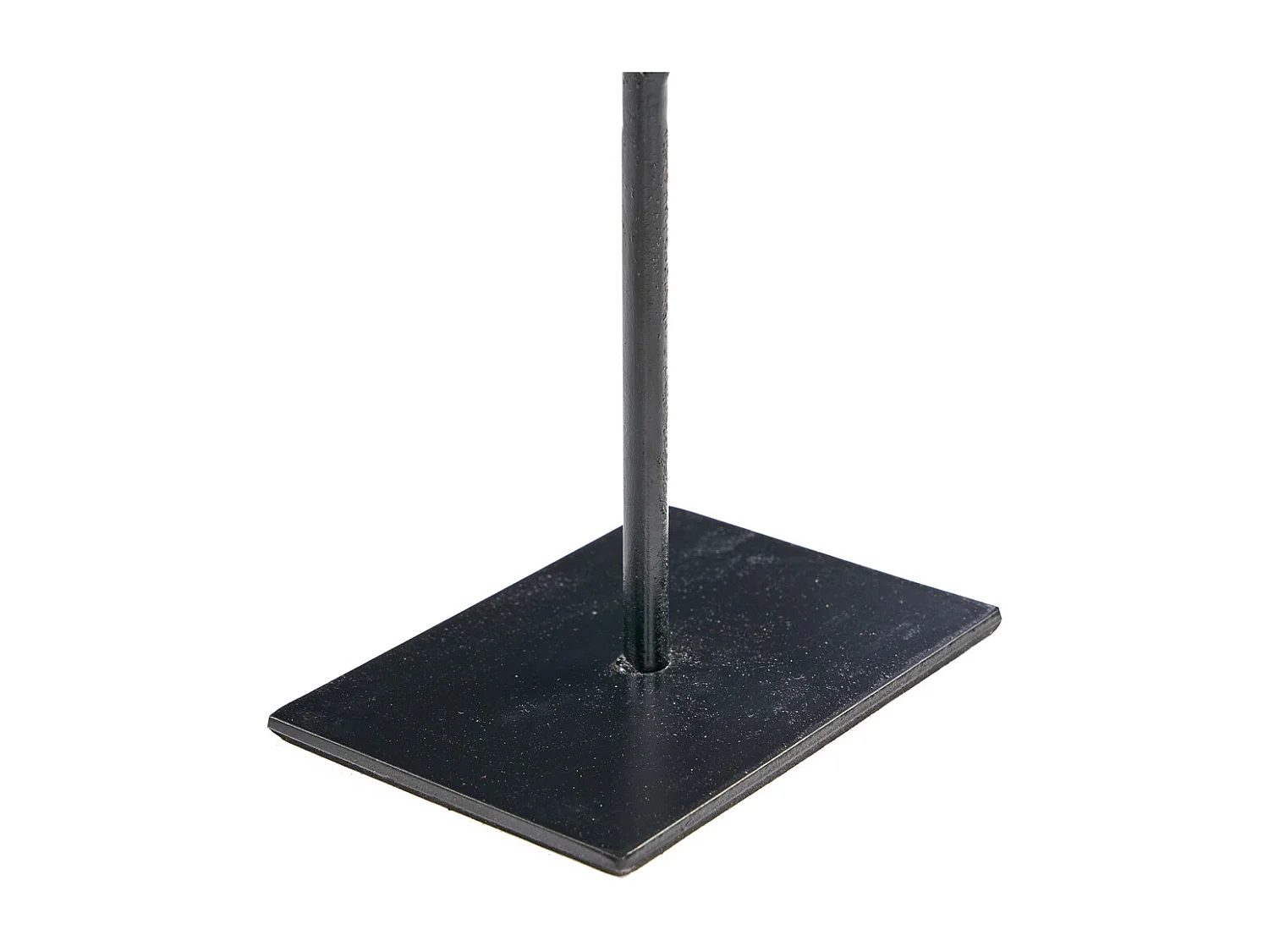 La Fish Pietra Su Supporto - S