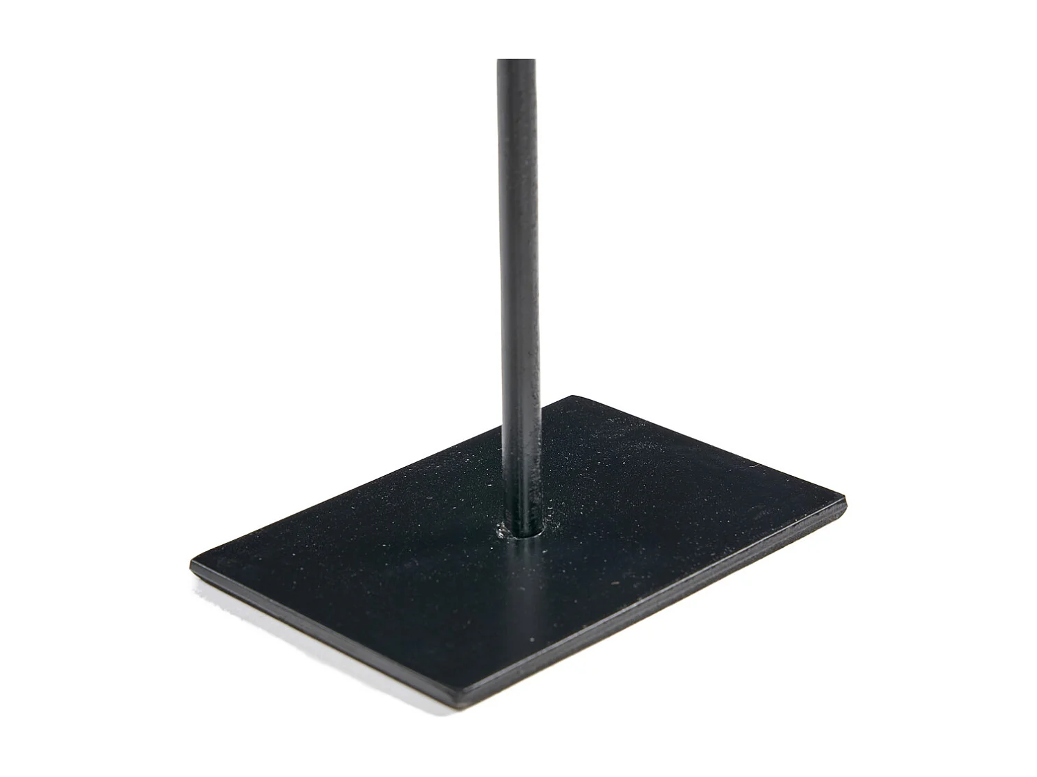 La Fish Pietra Su Supporto - S