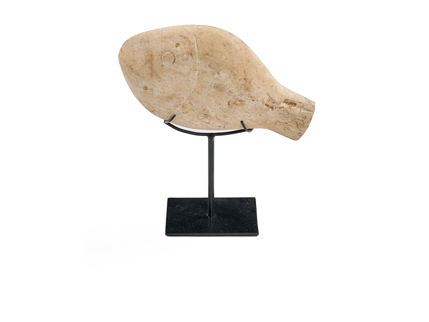 La Fish Pietra Su Supporto - S