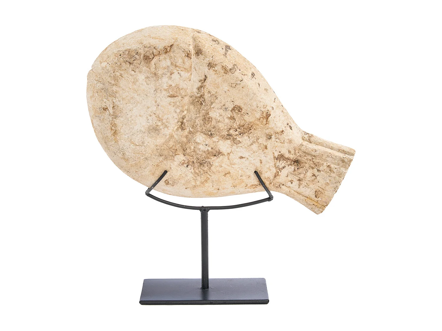 La Fish Pietra Su Supporto - S