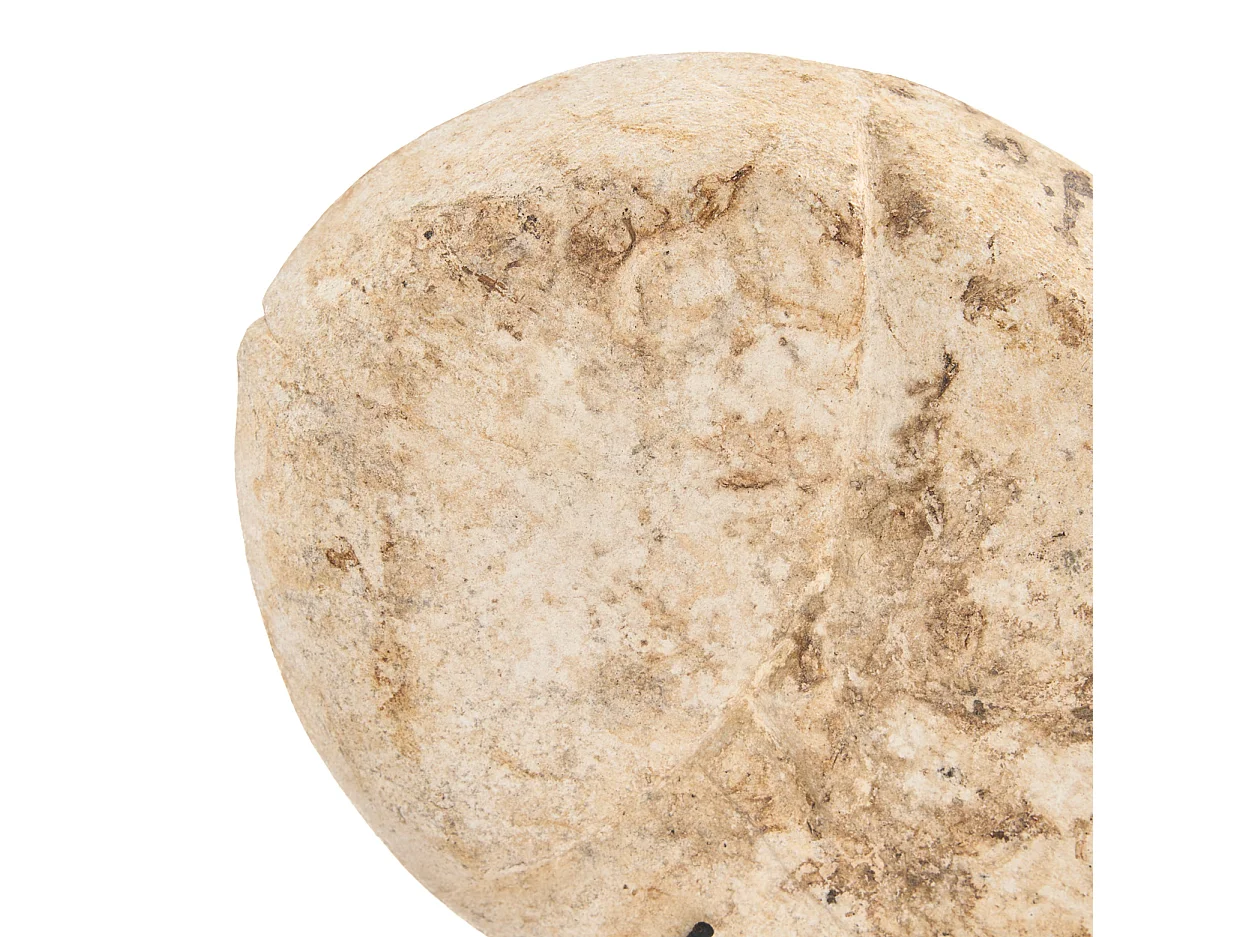 Le Fish Pierre Sur Support - S