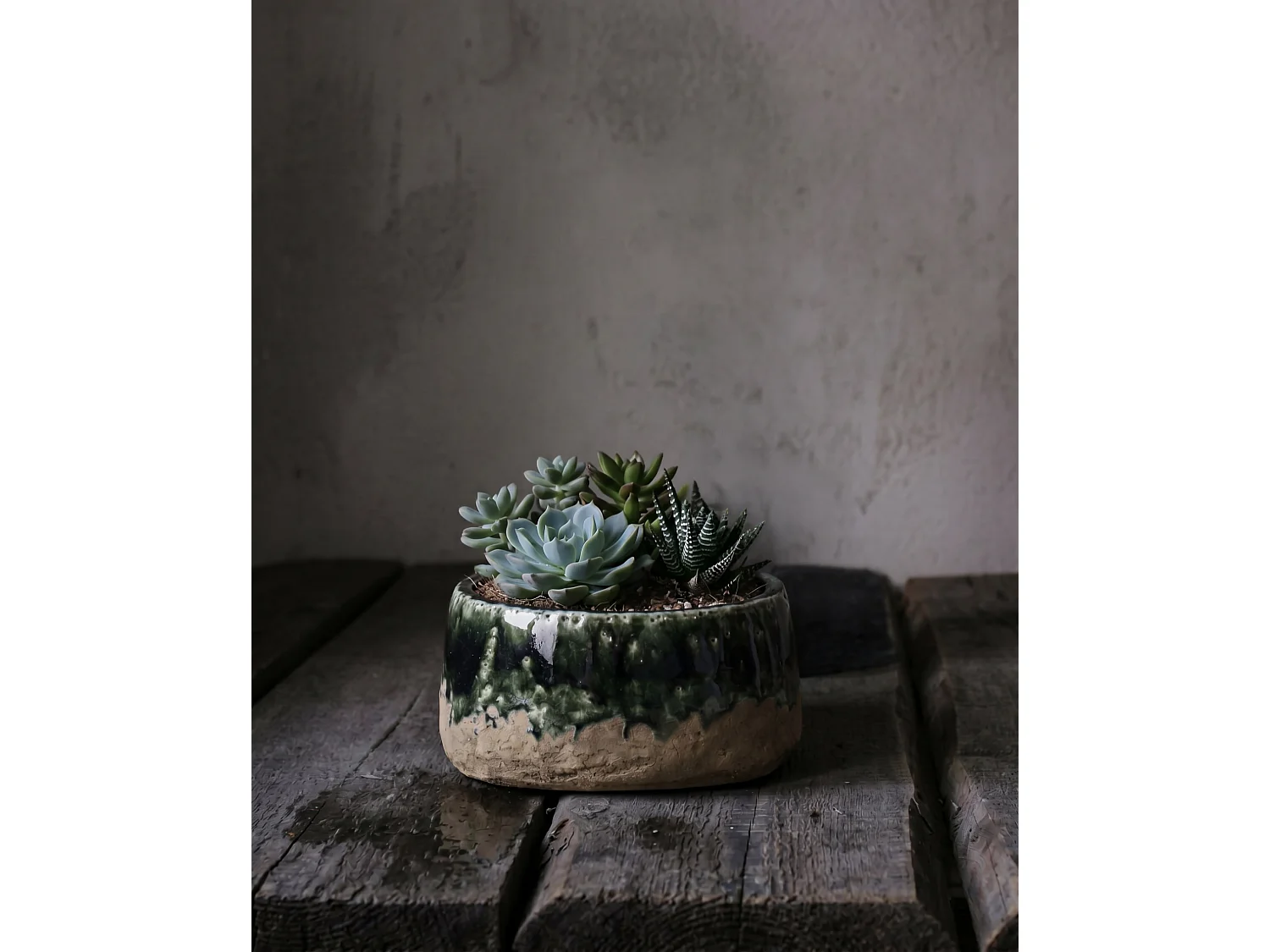 The Moss Bowl Planter - Concrete Green - Low