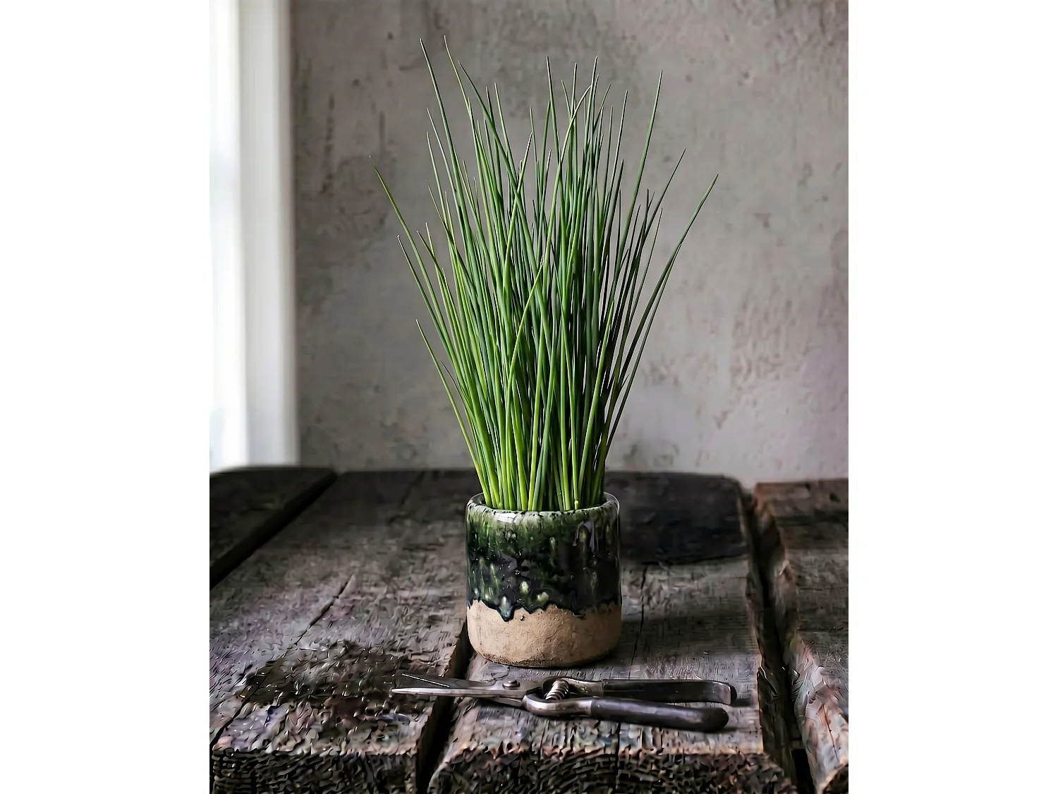 The Moss Planter -  Concrete Green - S