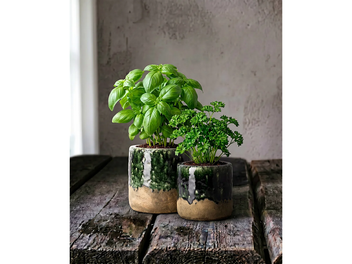 The Moss Planter -  Concrete Green - S