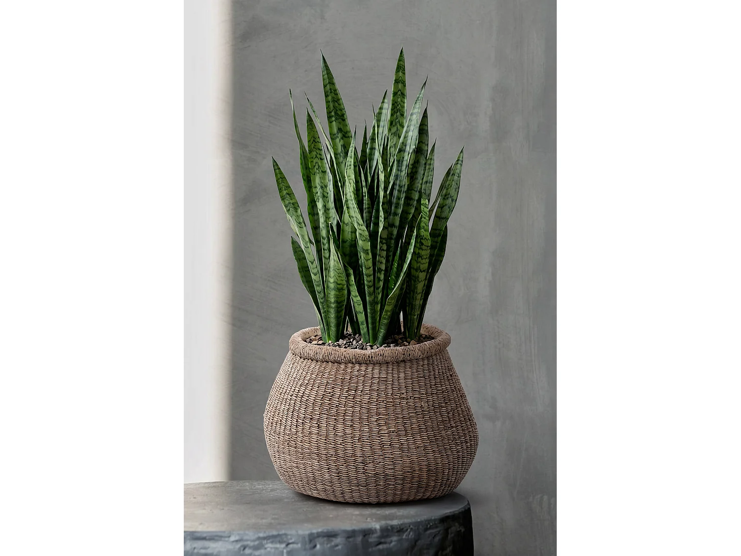 Le Cache-Pot Faux-Puff - Marron - L