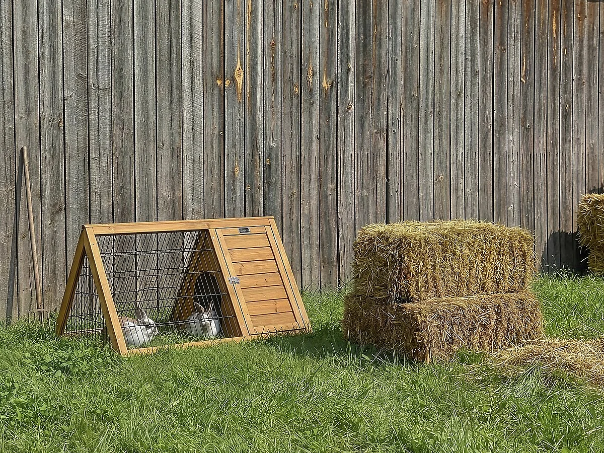 Pollaio "Biscotte" - 100 x 62 x 52 cm - Marrone