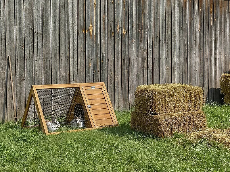 Pollaio "Biscotte" - 100 x 62 x 52 cm - Marrone