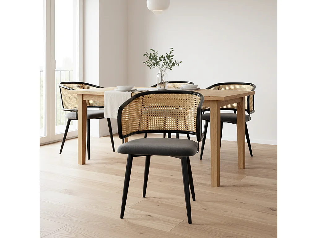 URBAN MEUBLE Lot de 2 chaises de salle à manger velours gris et dossier en rotin, pieds en métal noir