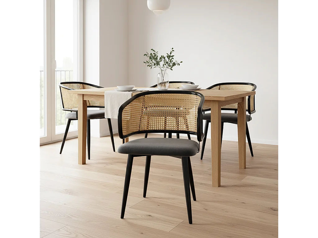 URBAN MEUBLE Lot de 2 chaises de salle à manger velours gris et dossier en rotin, pieds en métal noir