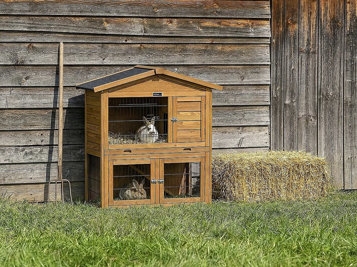 Hühnerstall aus Holz "Haselnuss" - 102 x 55 x 100 cm - Braun