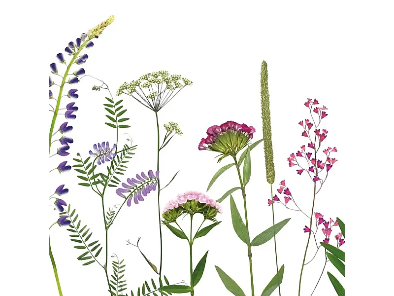 Fond de hotte en aluminium - motif floral vert, violet, jaune et rouge - 70x90 cm