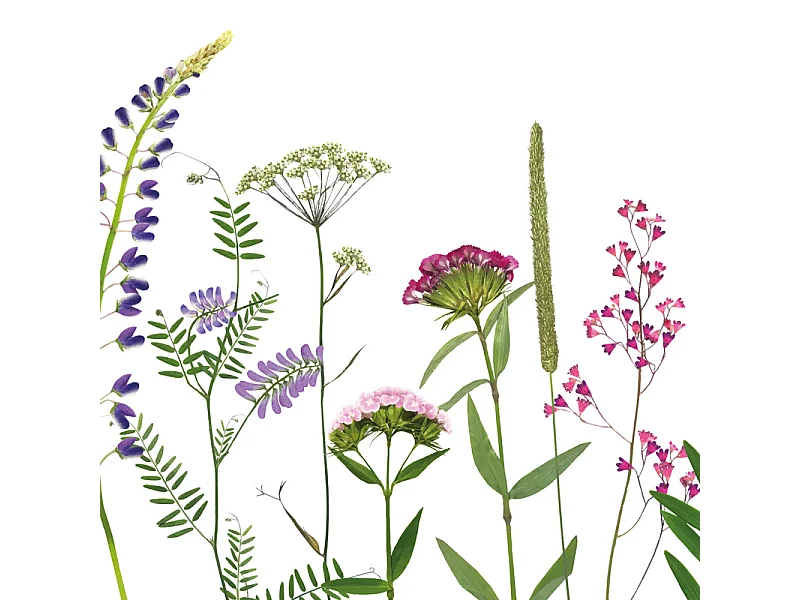 Fond de hotte en aluminium - motif floral vert, violet, jaune et rouge - 70x60 cm