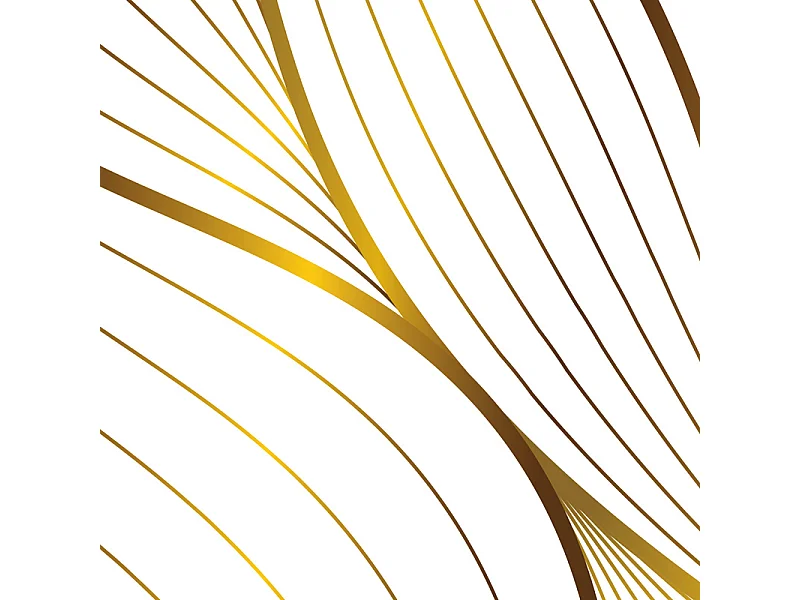 Lot de 2 panneaux de douche en aluminium (90x220 & 120x220 cm) + profilés blanc - Sotma - Blanc et doré