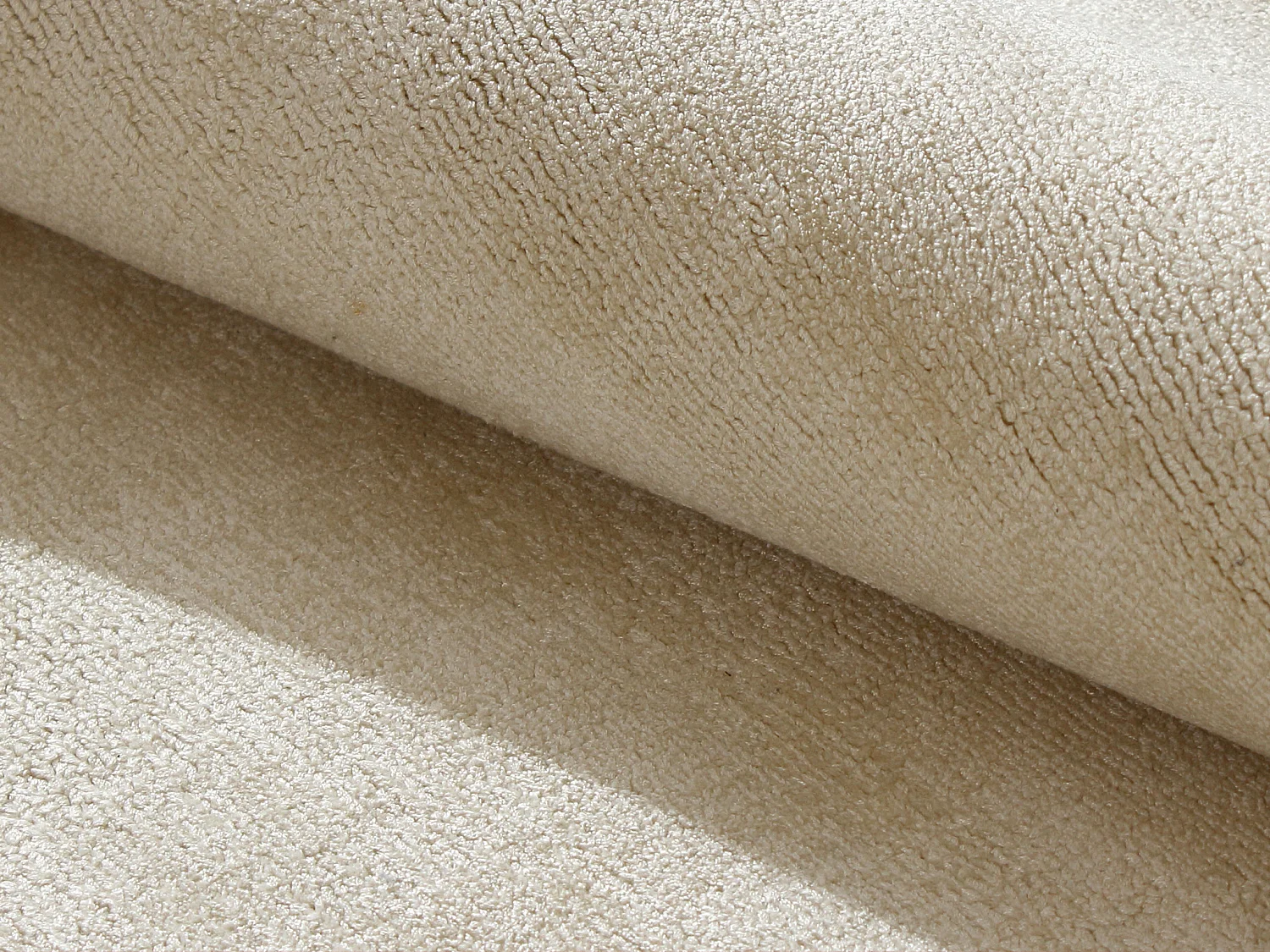 Tapis tissé à la main - 200 x 290 cm - Beige - 1800g/m² - MOLINI