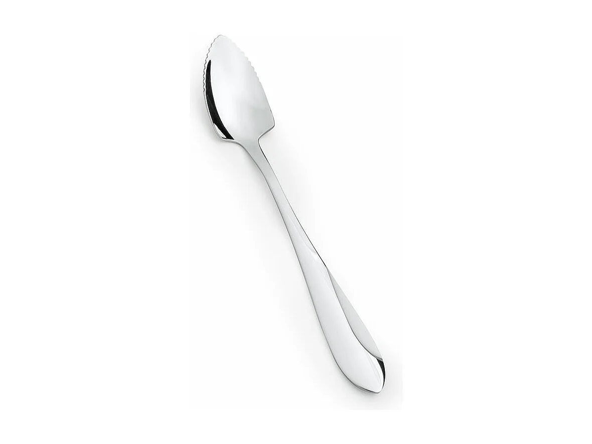 Coffret 6 cuilleres pamplemousse atlanta