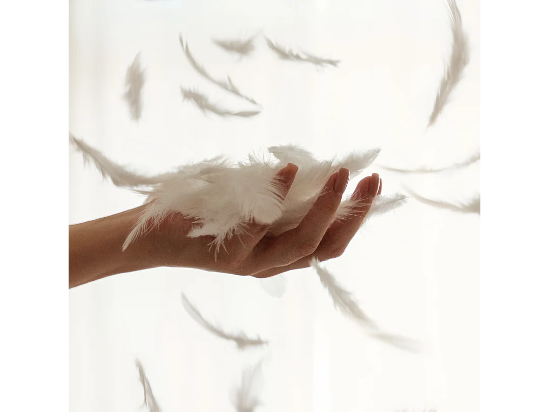 Couette chaude plume de canard 200x200cm