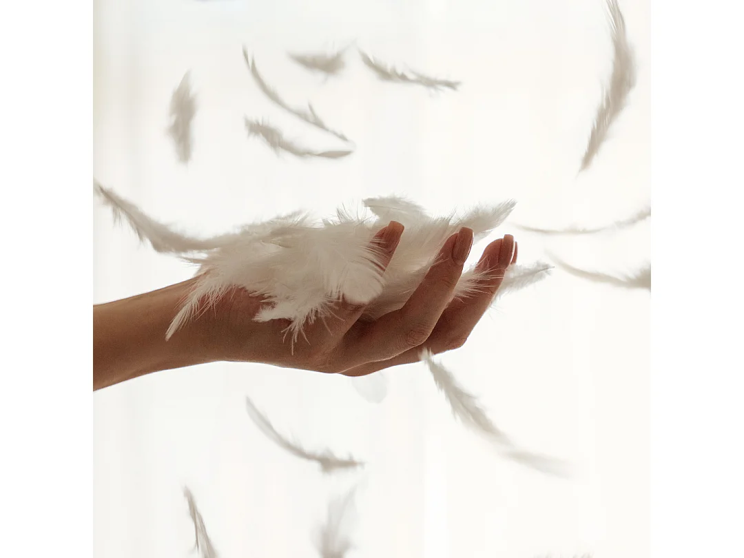 Couette légère plume de canard 240x260cm