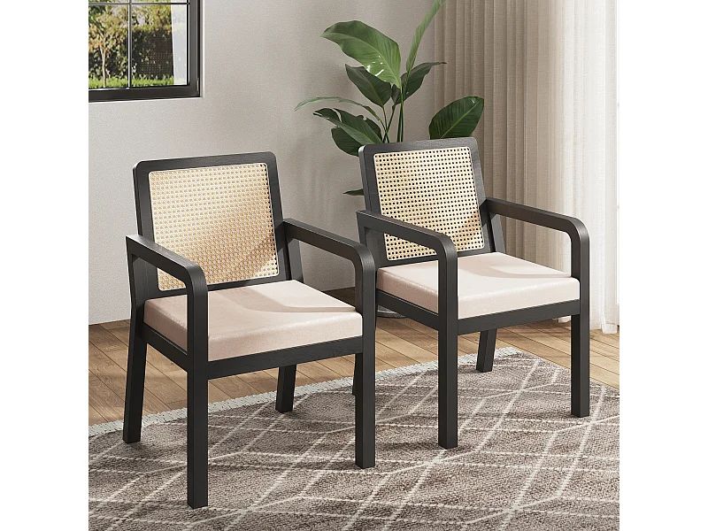 Lot de 2 chaises en velours avec dossier en rotin - Noir et naturel clair