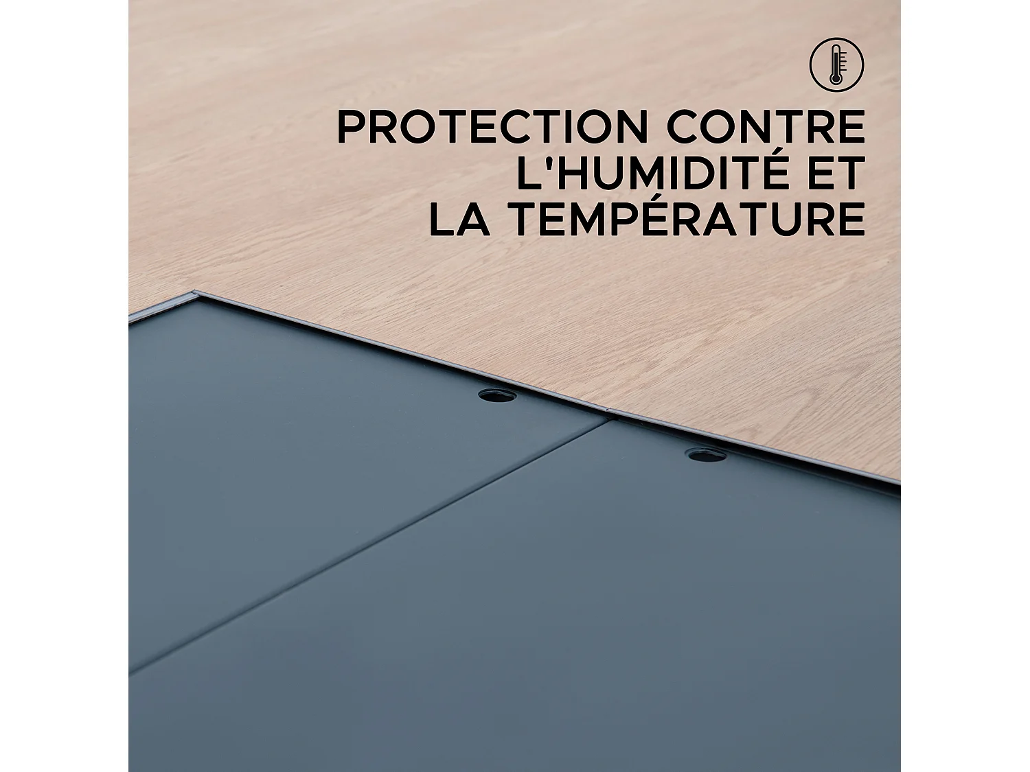 Abri de jardin RIGA avec plancher, fenêtres et portes verrouillables.