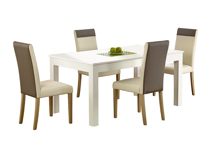 Uitschuifbare tafel voor 6/10 personen 160/300 x 90 cm