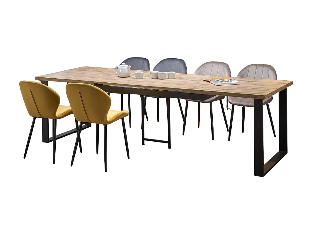 Table extensible pour 6/10 personnes 160/310x100 cm